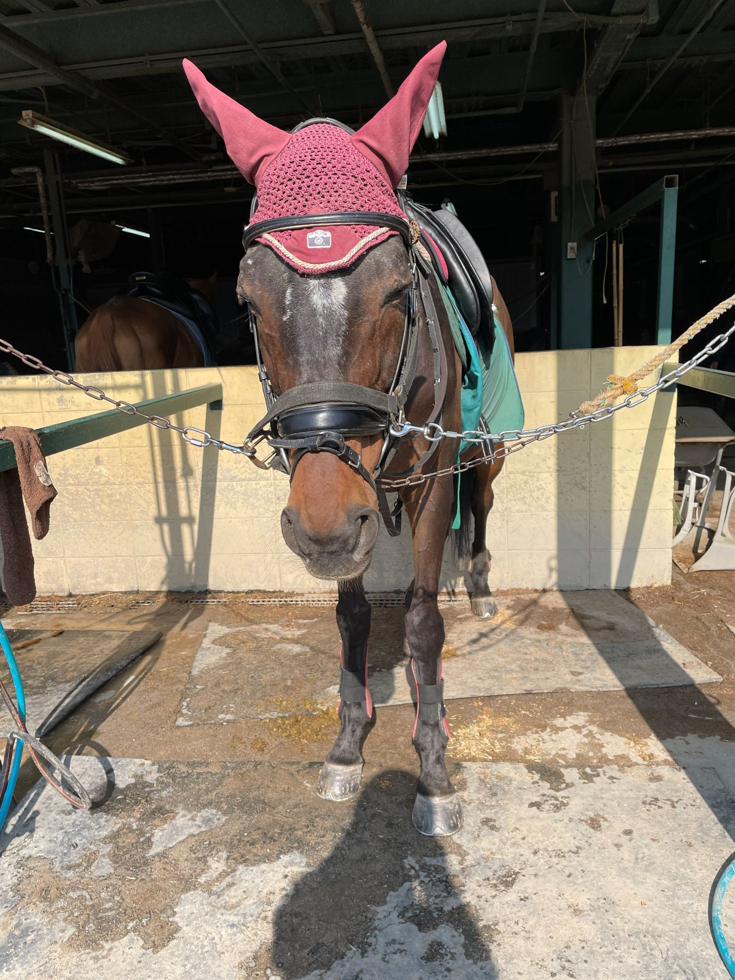 フィドューチャ